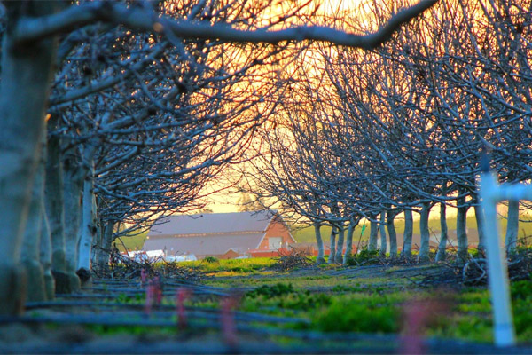 电话狂轰滥炸软件