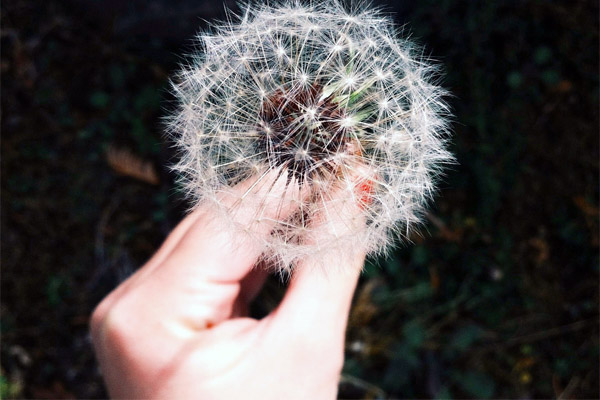 发卡网安全的短信轰炸测试